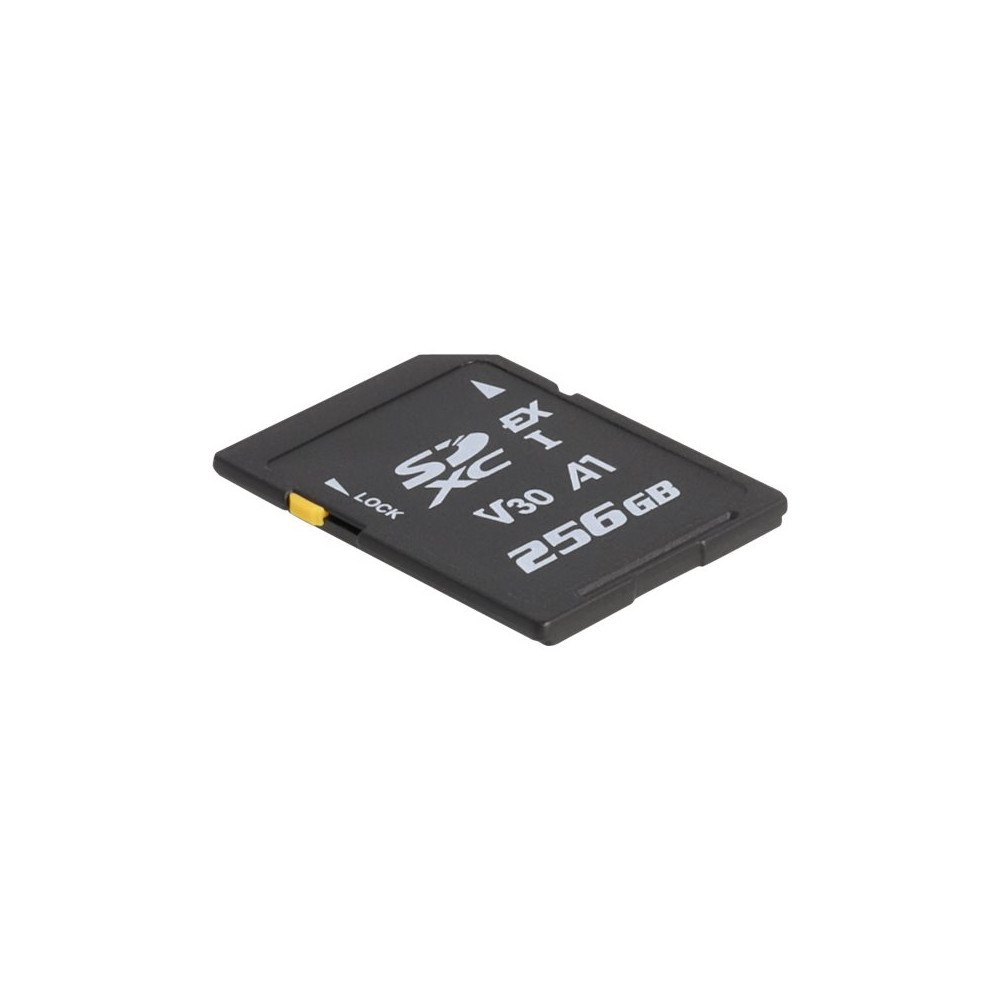 DeLOCK Delock - flash-minneskort - 256 GB - SD