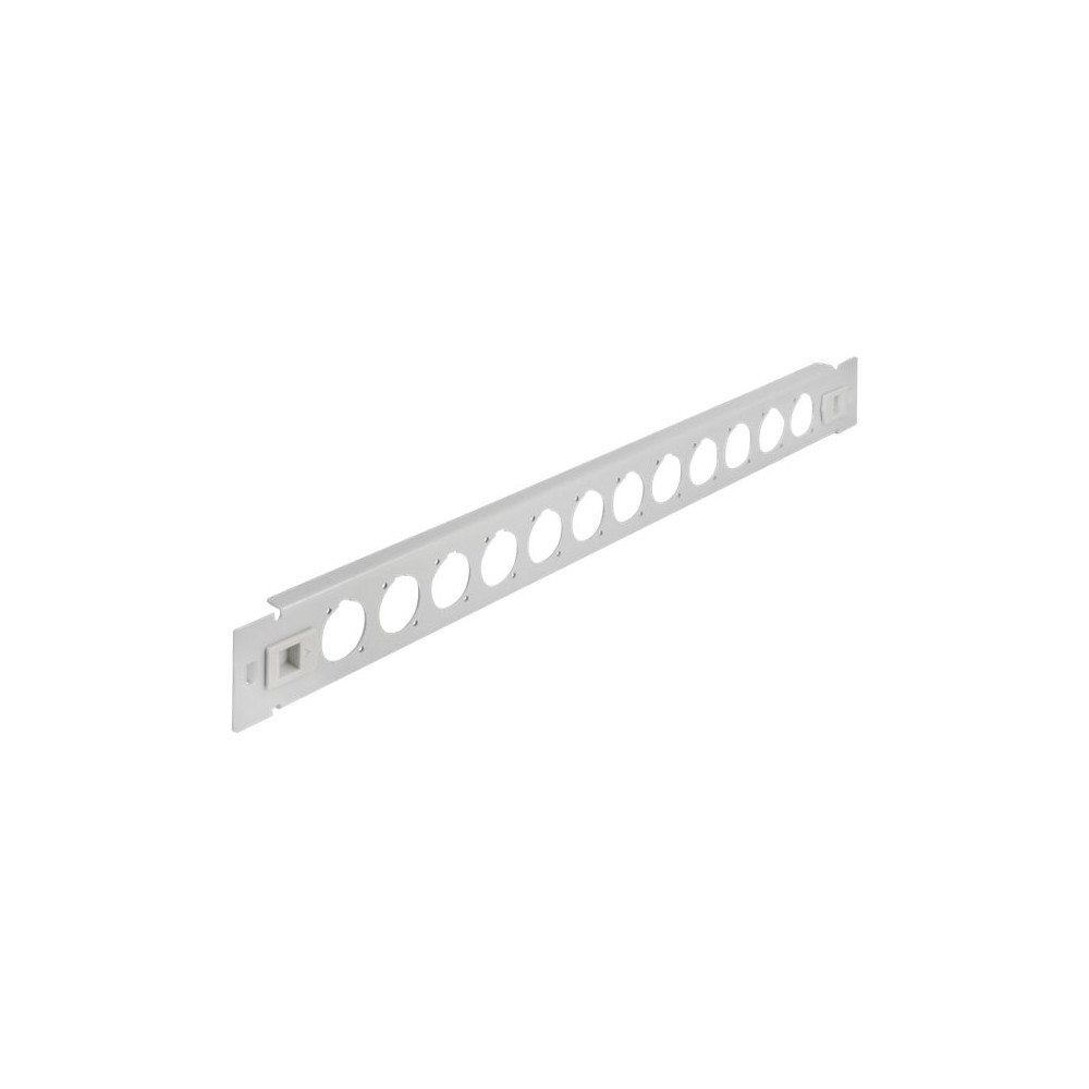DeLOCK Delock kopplingspanel (tom) - 1U - 19" - D-type, tool free