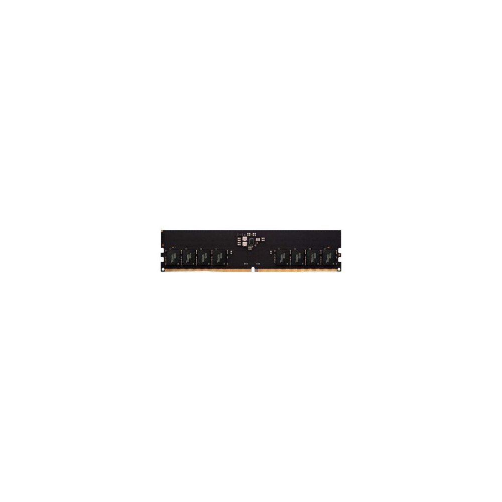 Team Group Team Elite - DDR5 - modul - 16 GB - DIMM 288-pin - 4800 MHz / PC5-38400 - ej buffrad