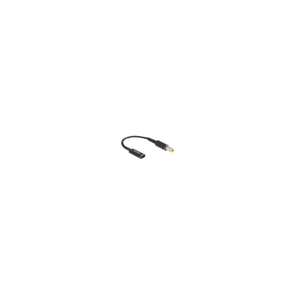 DeLOCK Delock - strömadapter - USB-C till likströmskontakt 7,9 x 5,5 mm - 15 cm