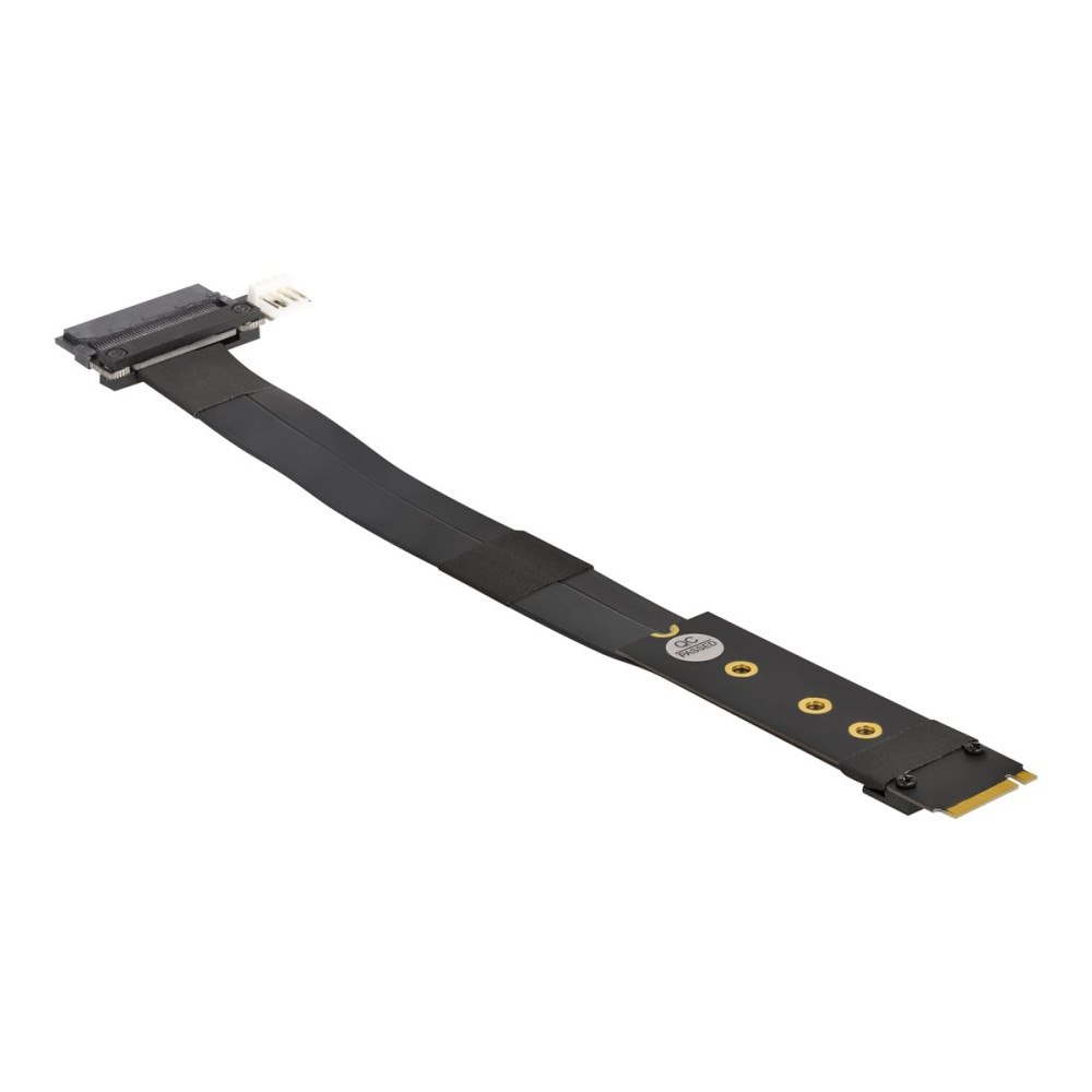DeLOCK Delock - gränssnittsadapter - U.2 NVMe - M.2 Card