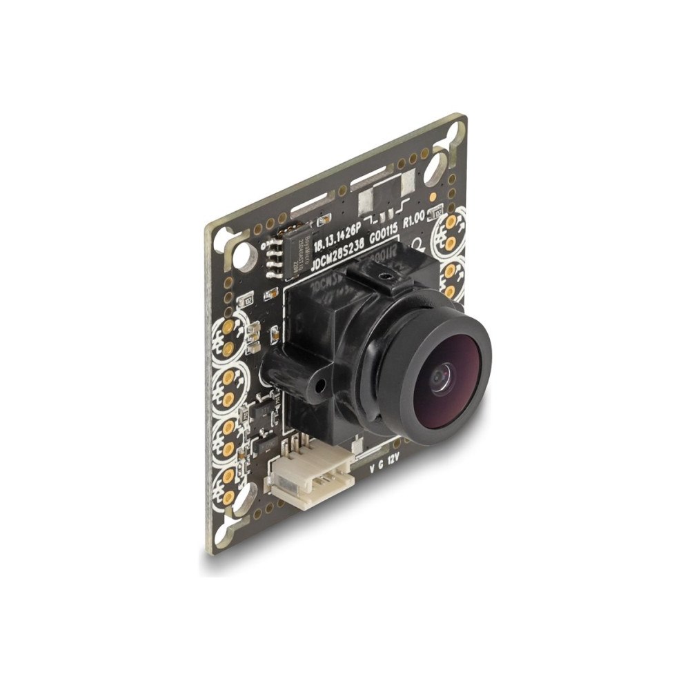 DeLOCK Delock - övervakningskamera