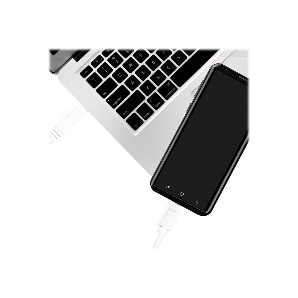 2direct LogiLink - USB typ C-kabel - USB typ A till 24 pin USB-C - 1.5 m