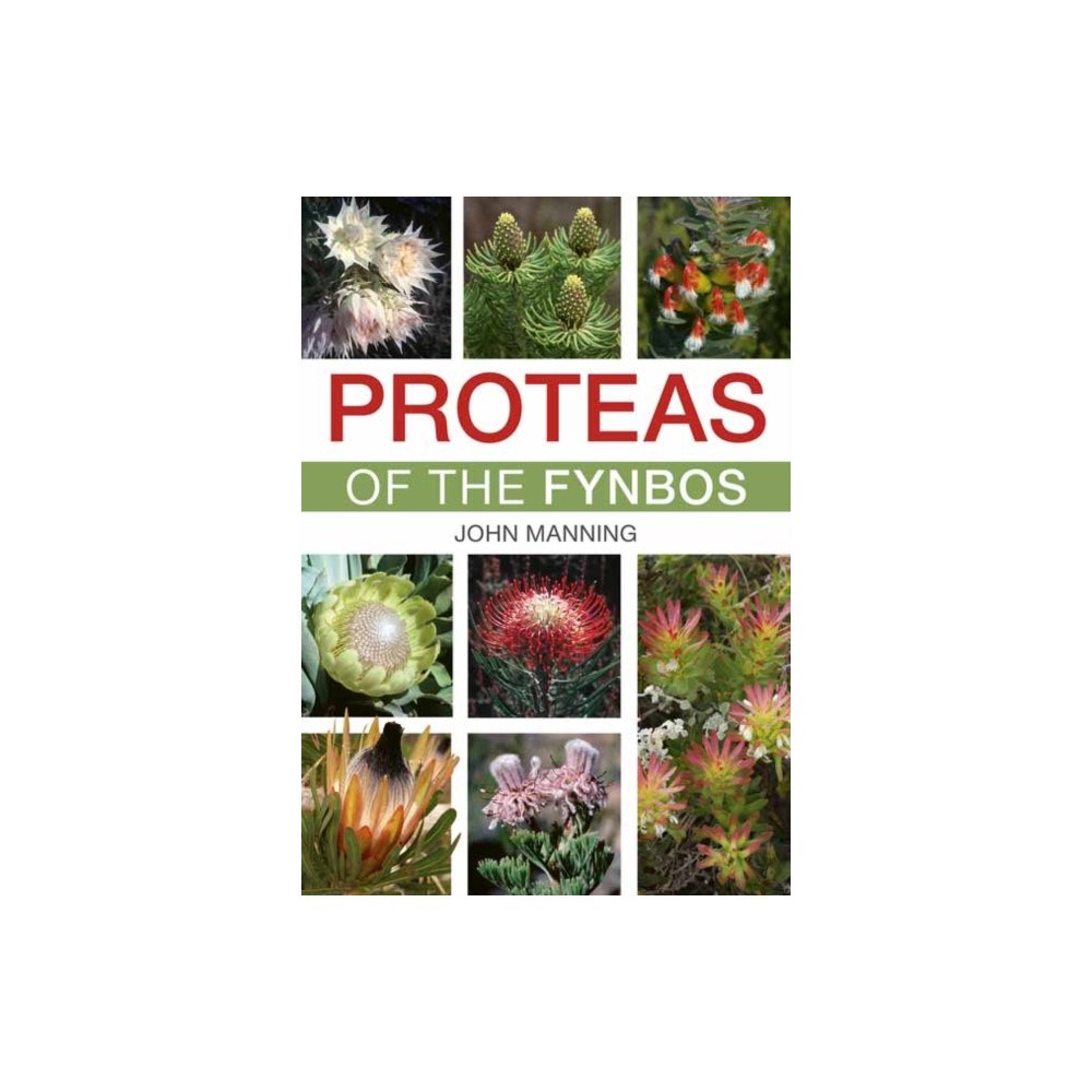 Penguin Random House South Africa Proteas of the Fynbos (häftad, eng)