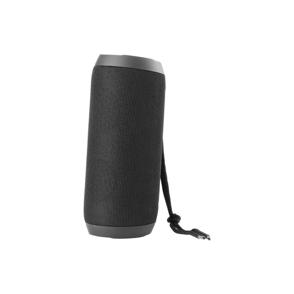 Deltaco STREETZ S250 - högtalare - för bärbar användning - trådlös