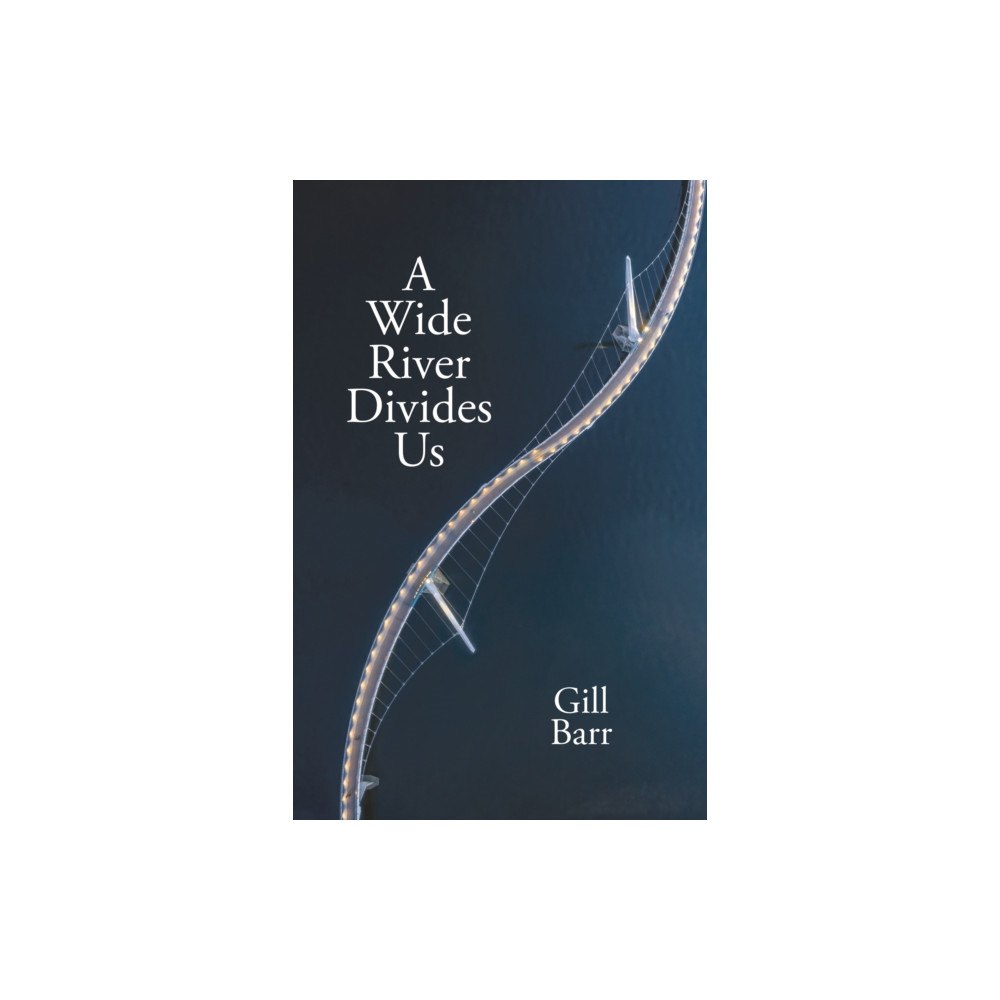 Cinnamon Press A Wide River Divides Us (häftad, eng)