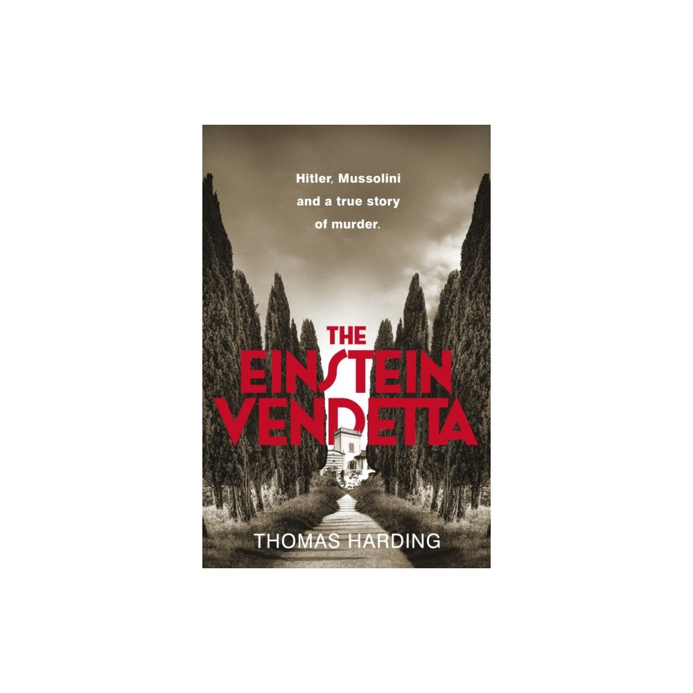 Penguin books ltd The Einstein Vendetta (häftad, eng)