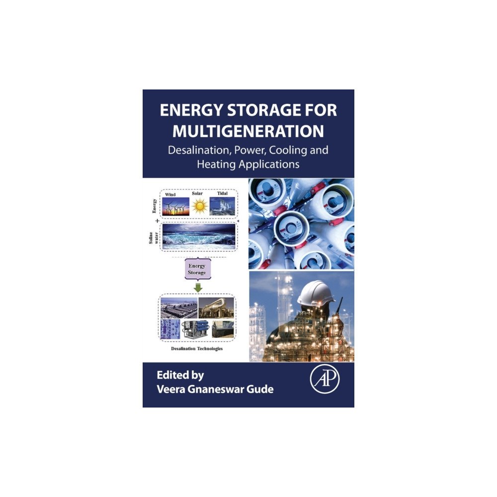 Elsevier Science Publishing Co Inc Energy Storage for Multigeneration (häftad, eng)