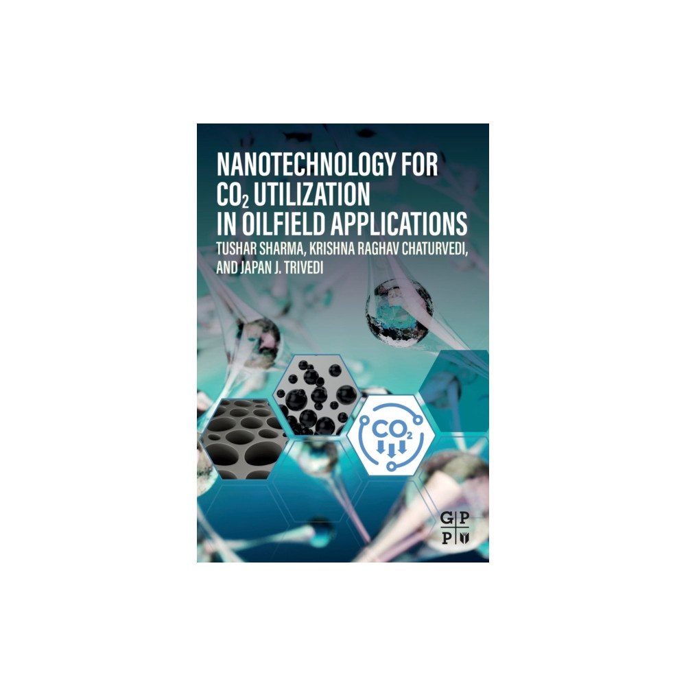 Gulf Publishing Company Nanotechnology for CO2 Utilization in Oilfield Applications (häftad, eng)