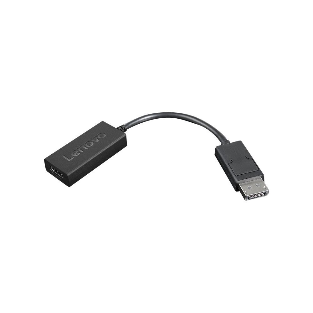 Lenovo Lenovo videokort - DisplayPort / HDMI - 22.5 cm
