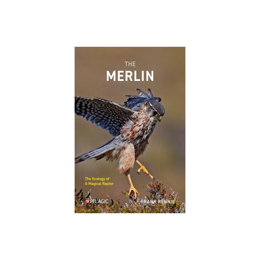 Pelagic Publishing The Merlin (häftad, eng)