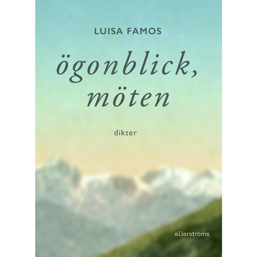 Luisa Famos Ögonblick, möten (bok, danskt band)