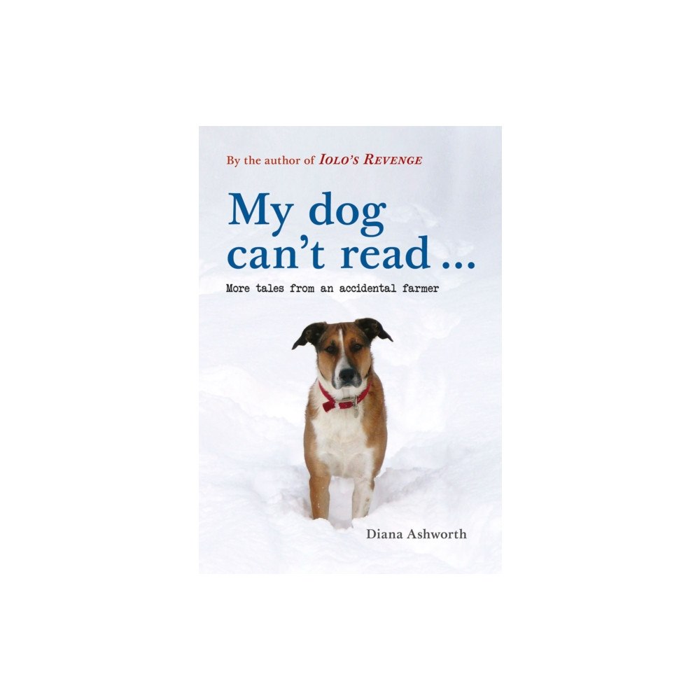 Fircone Books Ltd My dog can't read ... (häftad, eng)