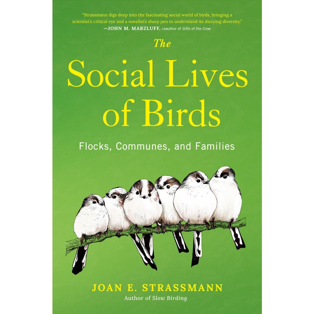 Joan E. Strassmann The Social Lives of Birds: Flocks, Communes, and Families (inbunden, eng)