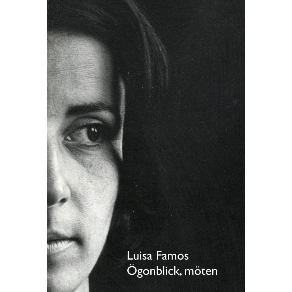 Luisa Famos Ögonblick, möten (bok, danskt band)