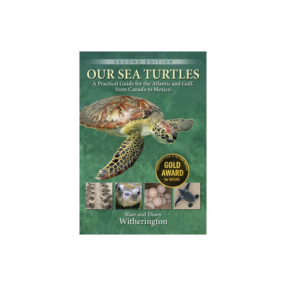 Rowman & littlefield Our Sea Turtles (häftad, eng)