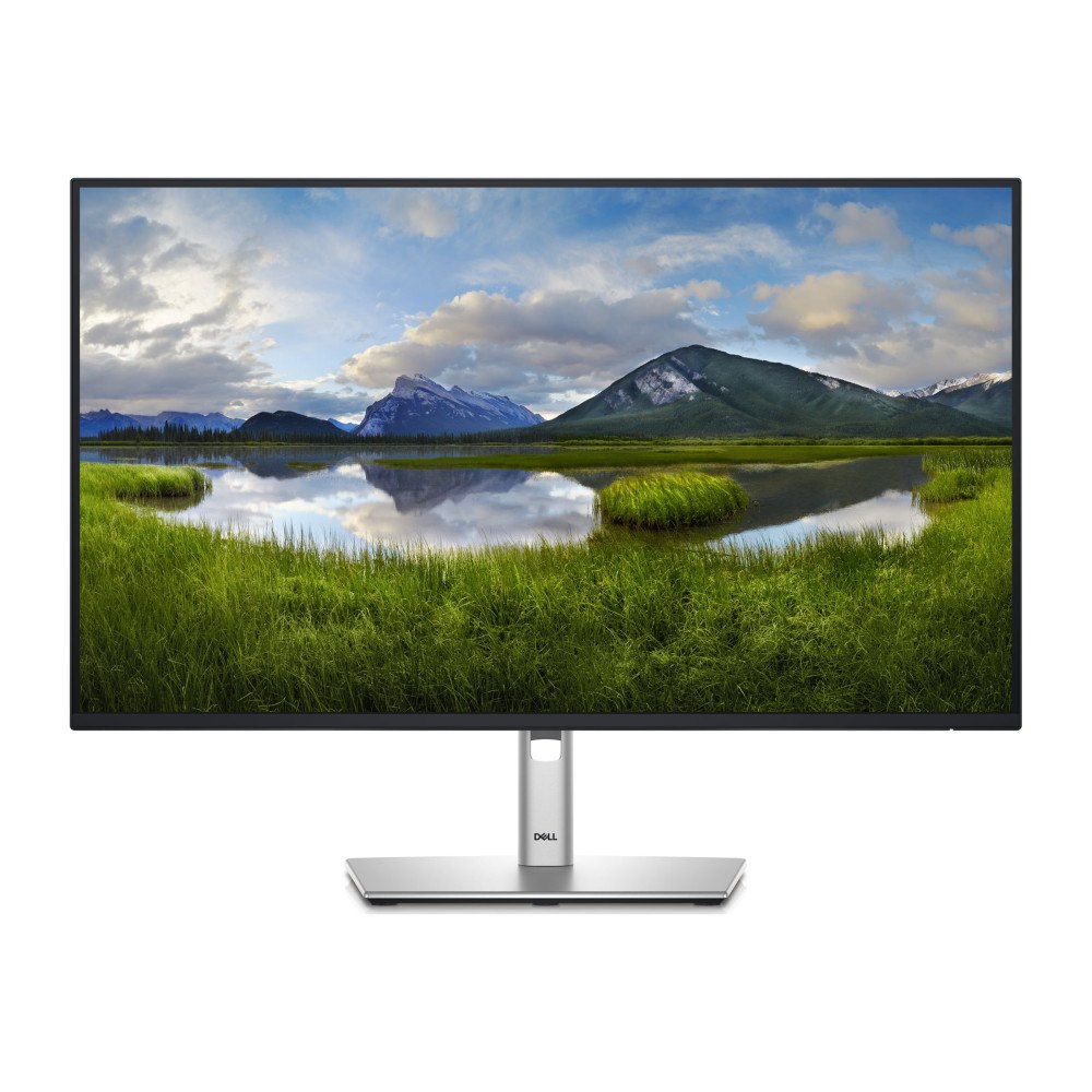 DELL Dell P2725H - LED-skärm - Full HD (1080p) - 27"