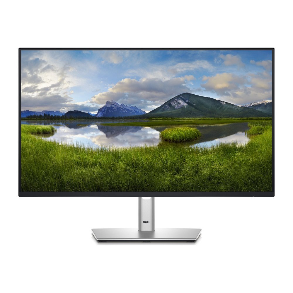 DELL Dell P2425H - LED-skärm - Full HD (1080p) - 24"