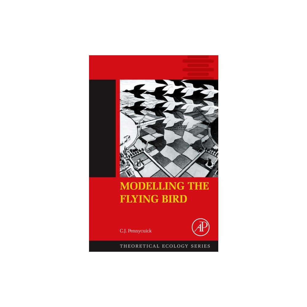 Elsevier Science Publishing Co Inc Modelling the Flying Bird (inbunden, eng)