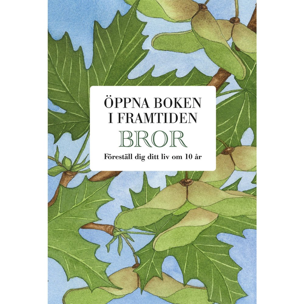 Mats Billmark Bror : öppna boken i framtiden (bok, kartonnage)