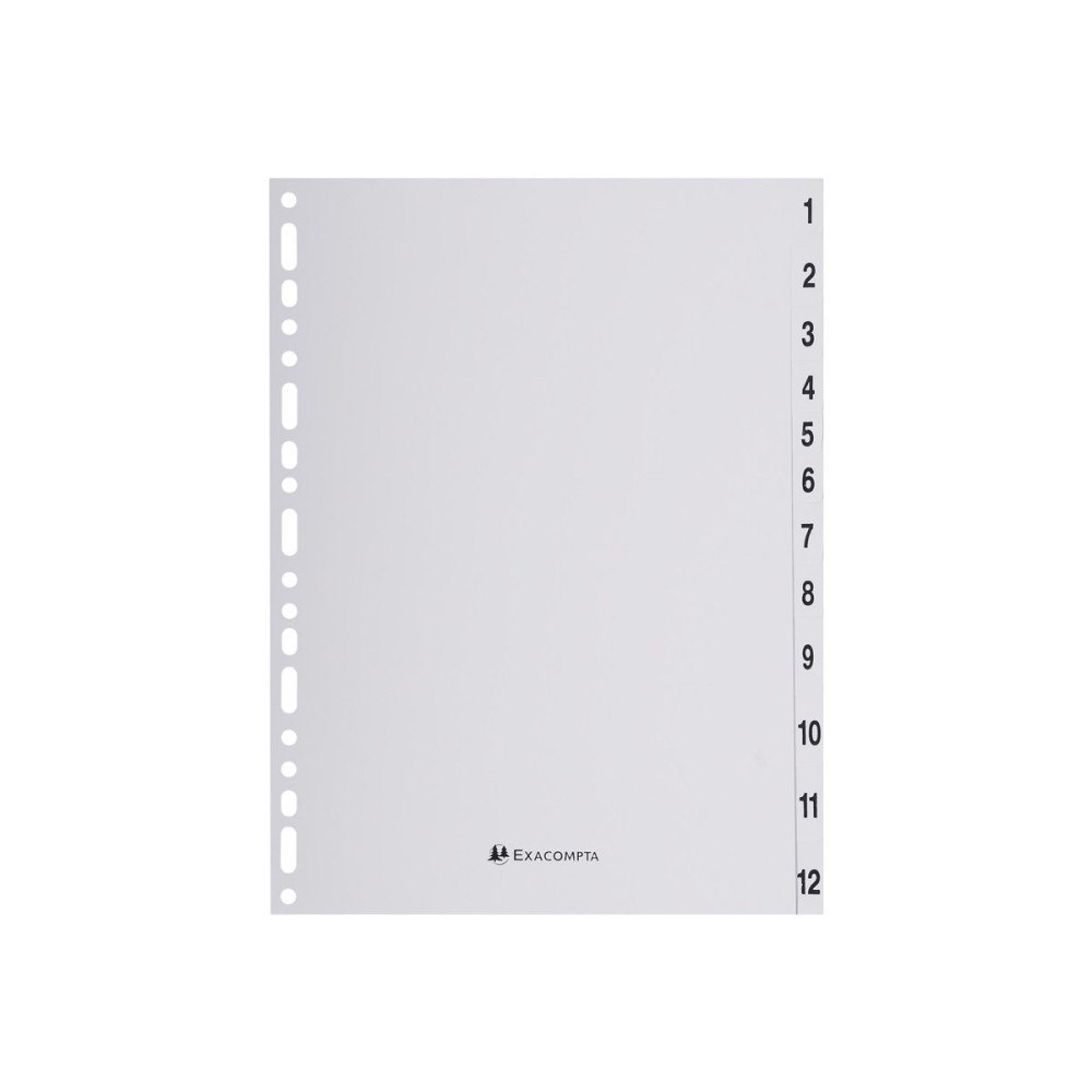 EXACOMPTA Exacompta - avdelare - 12 delar - för A4 - tabbad - grå