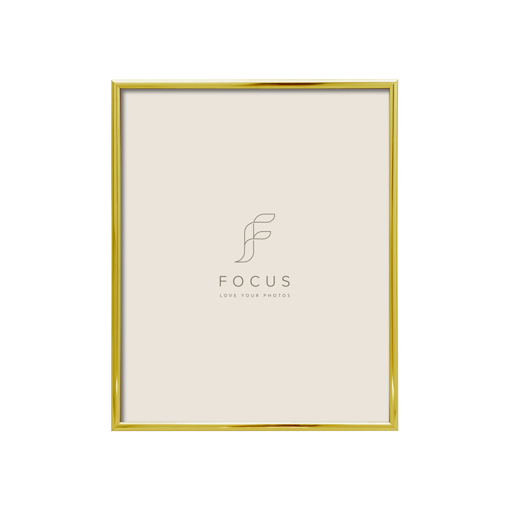 FOCUS Focus Lily Gold 18x24