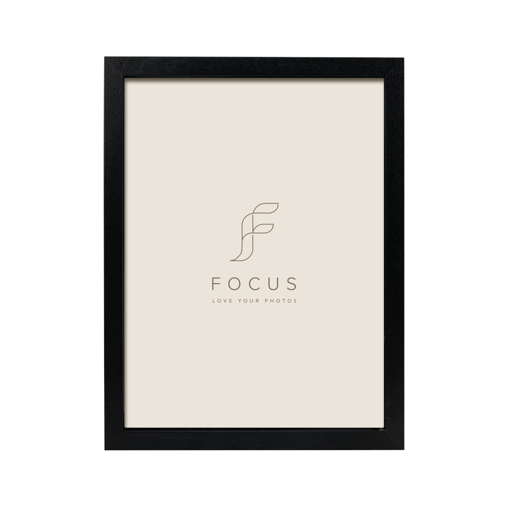 FOCUS Focus Ivy Black 18x24