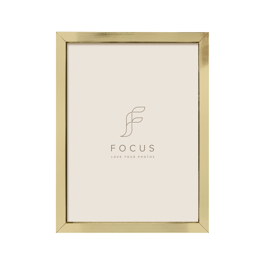 FOCUS Focus Ivy Gold 18x24
