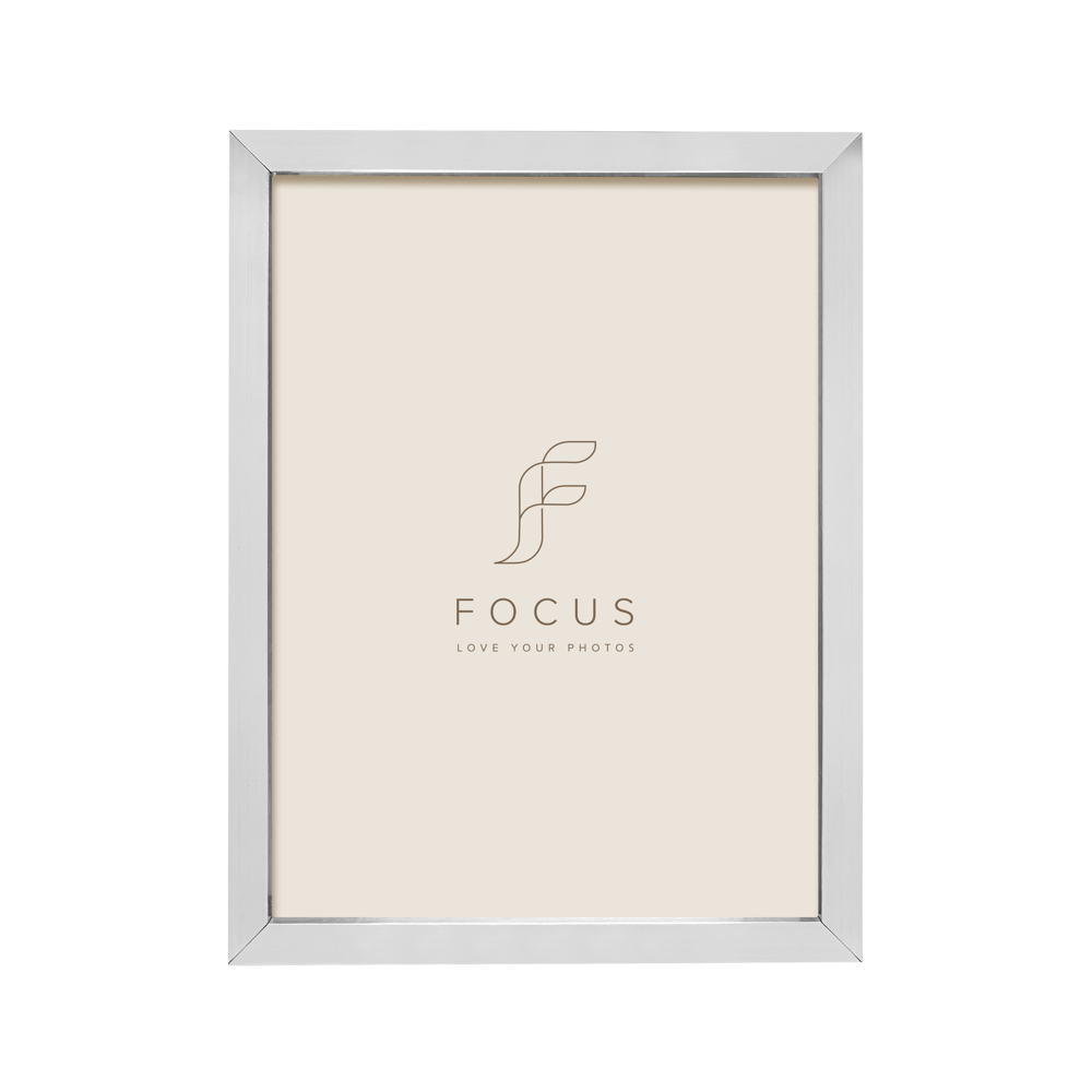 FOCUS Focus Ivy Silver 18x24