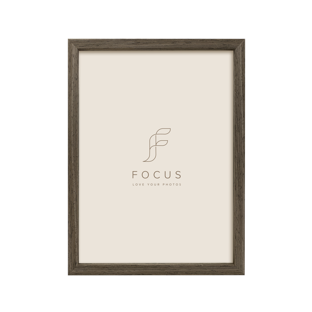 FOCUS Focus Willow Walnut 18X24