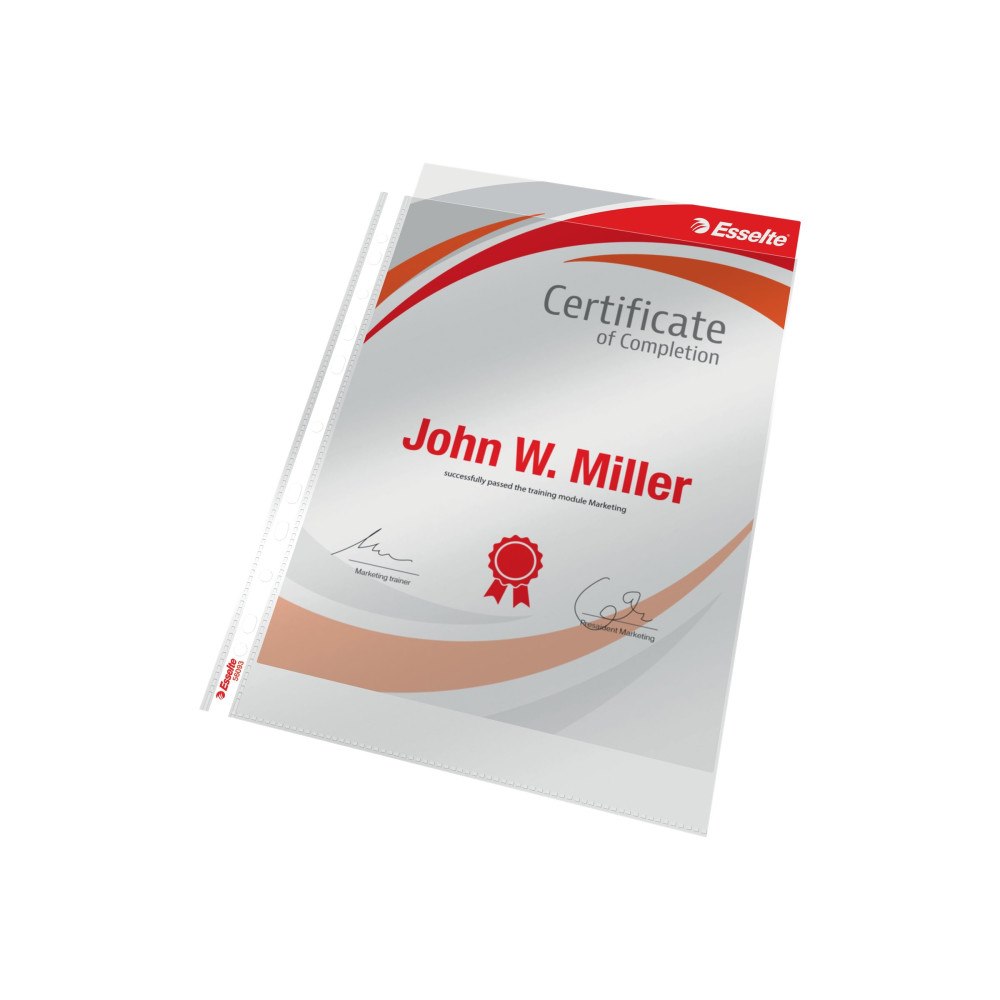 ESSELTE Esselte - arkskyddare - för A4 - kapacitet: 30 ark - klarglas