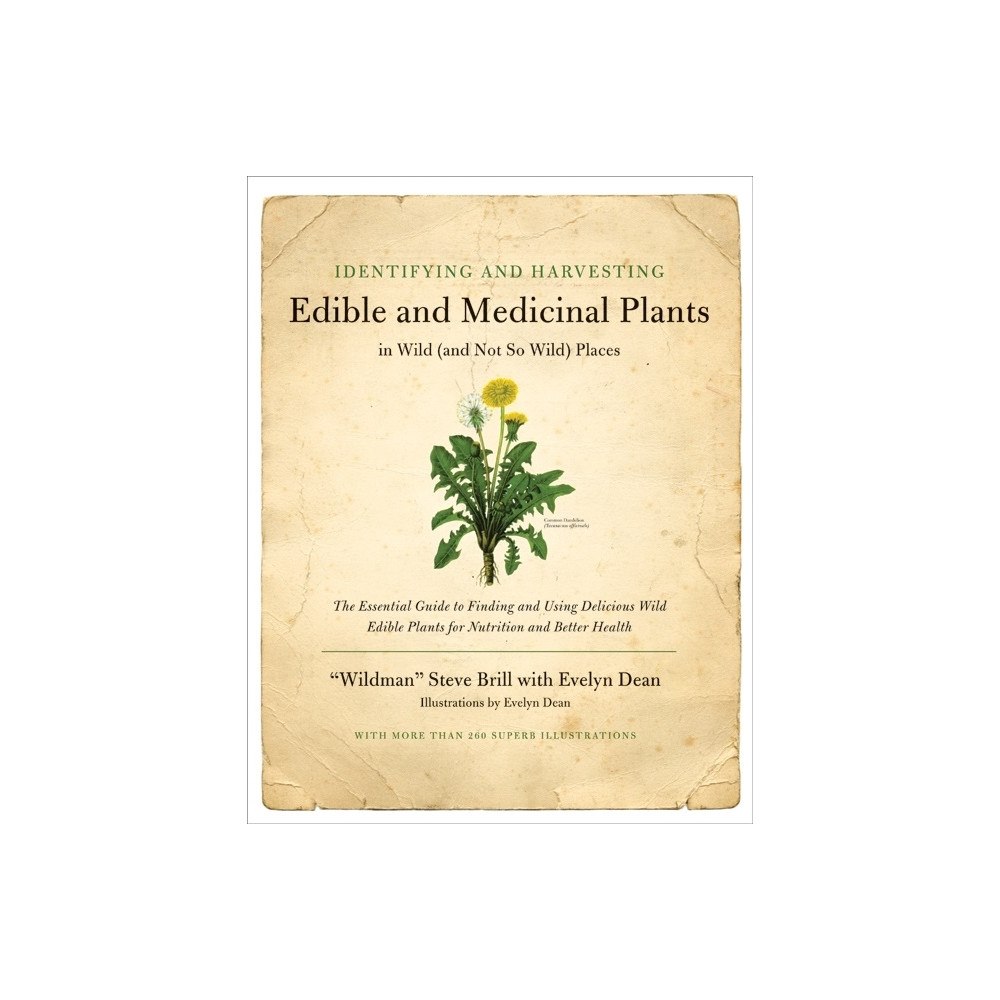 HarperCollins Publishers LLC Identifying And Harvesting Edible And Medicinal Plants In Wi (inbunden, eng)