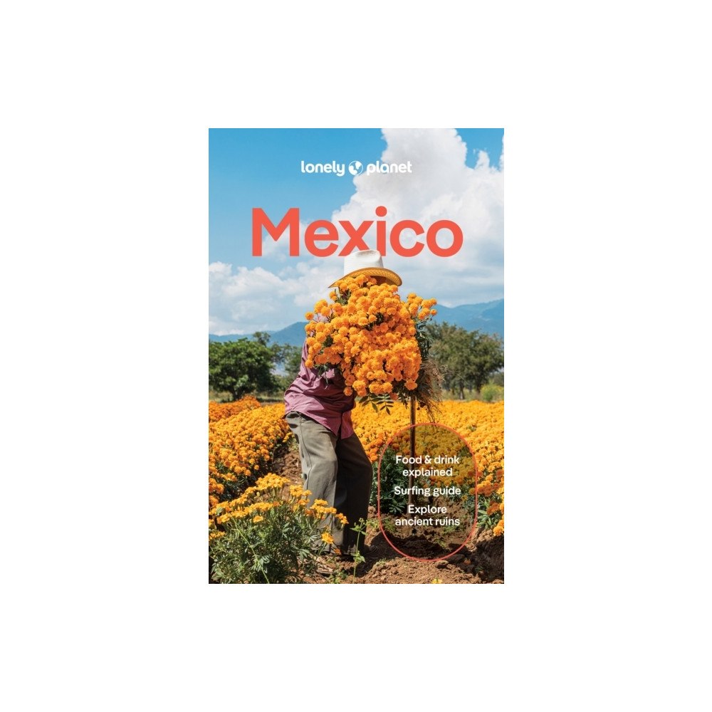 Lonely Planet Lonely Planet Mexico (pocket, eng)