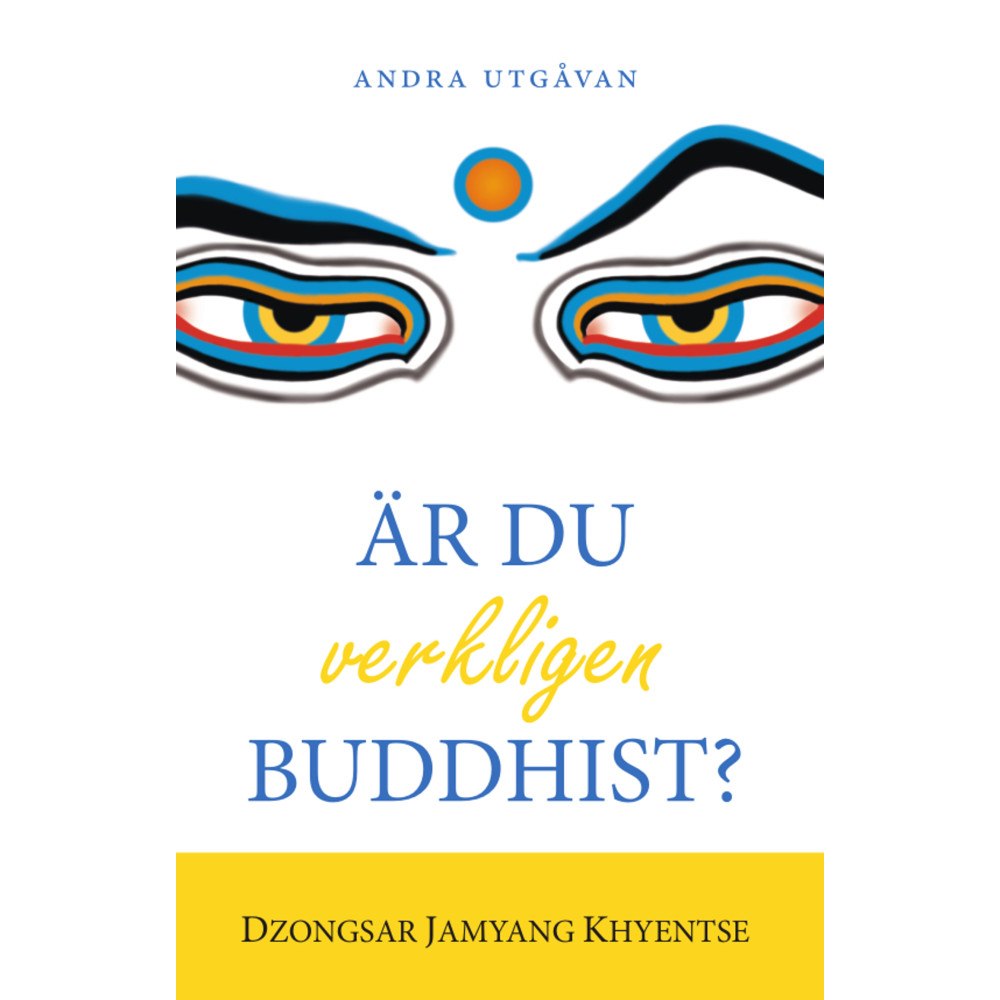 Dzongsar Jamyang Khyentse Är du verkligen buddhist? (häftad)