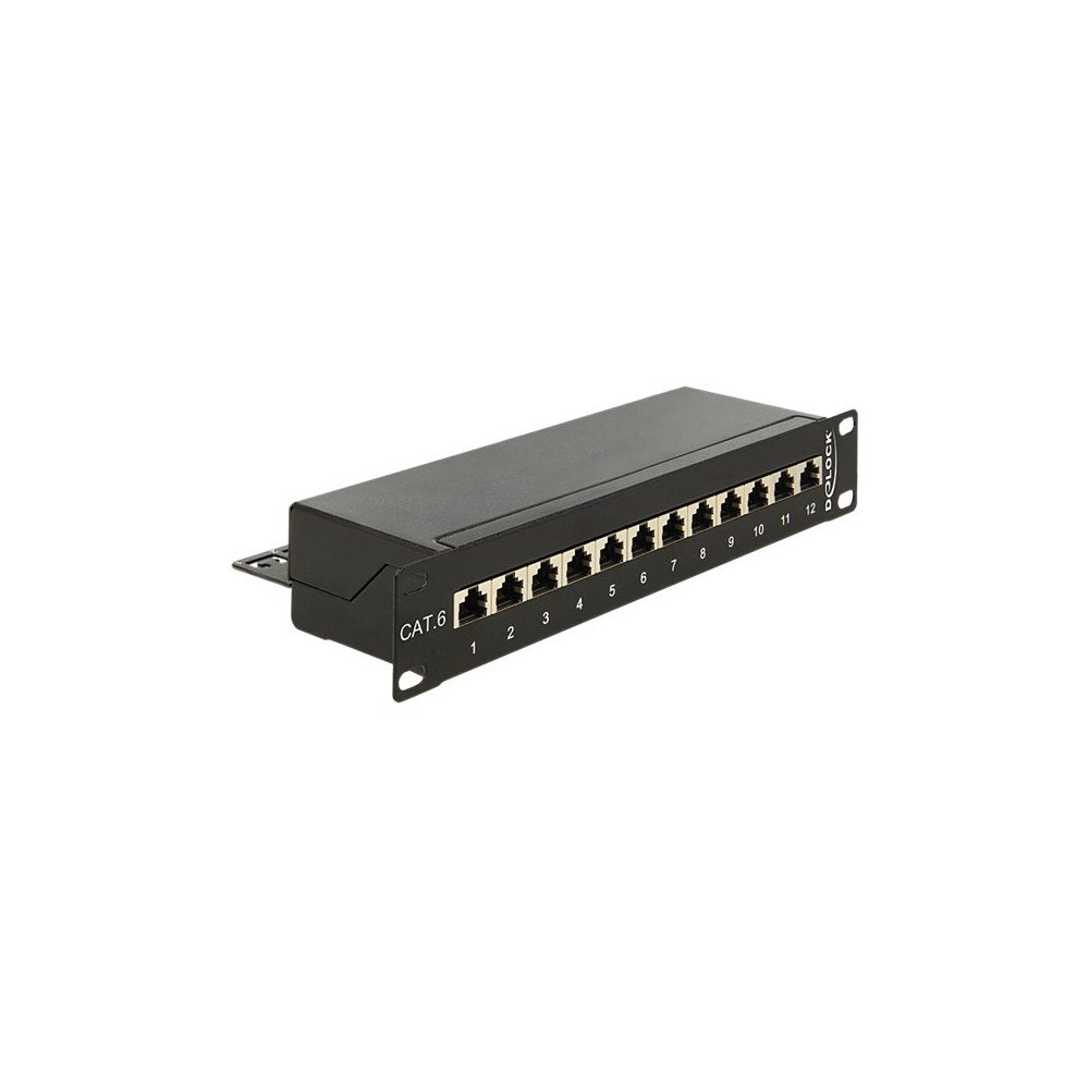 DeLOCK Delock patch-panel - 1U - 10"
