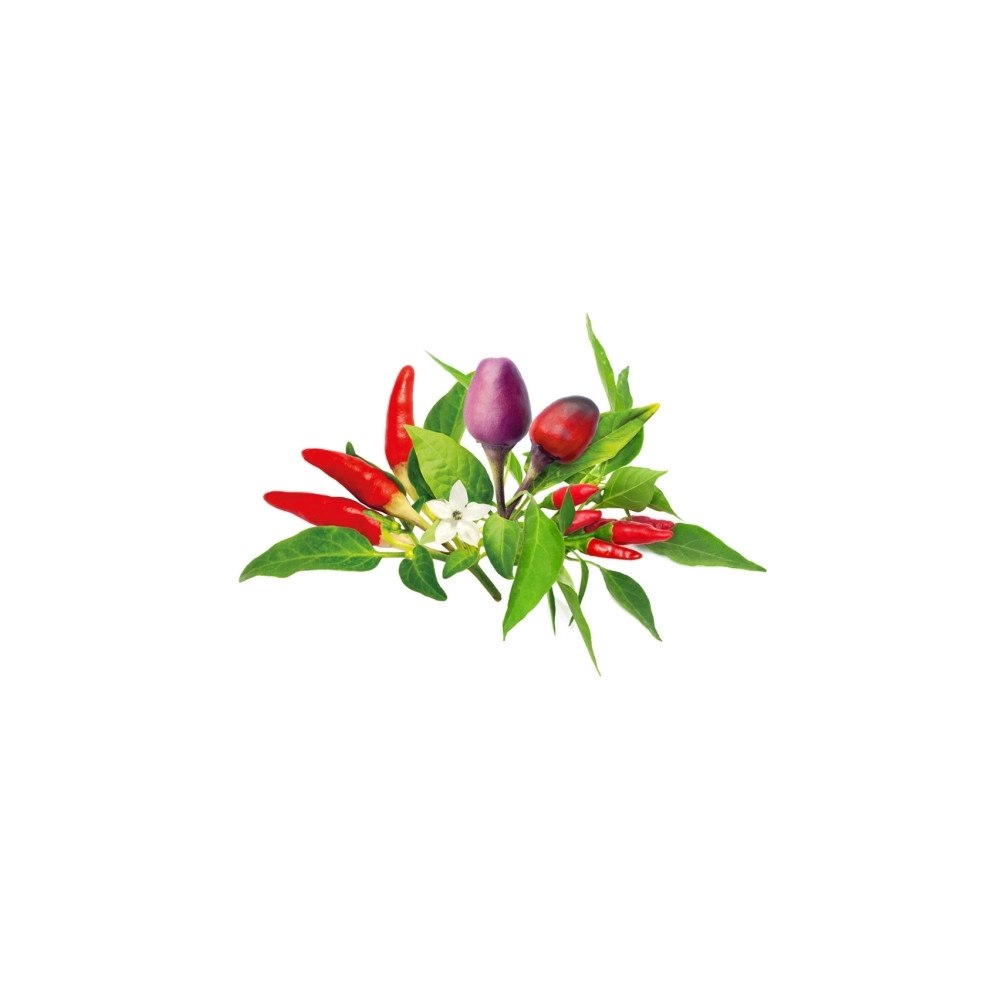 Click and Grow Click And Grow Click &amp Grow Frön för Smart Pot