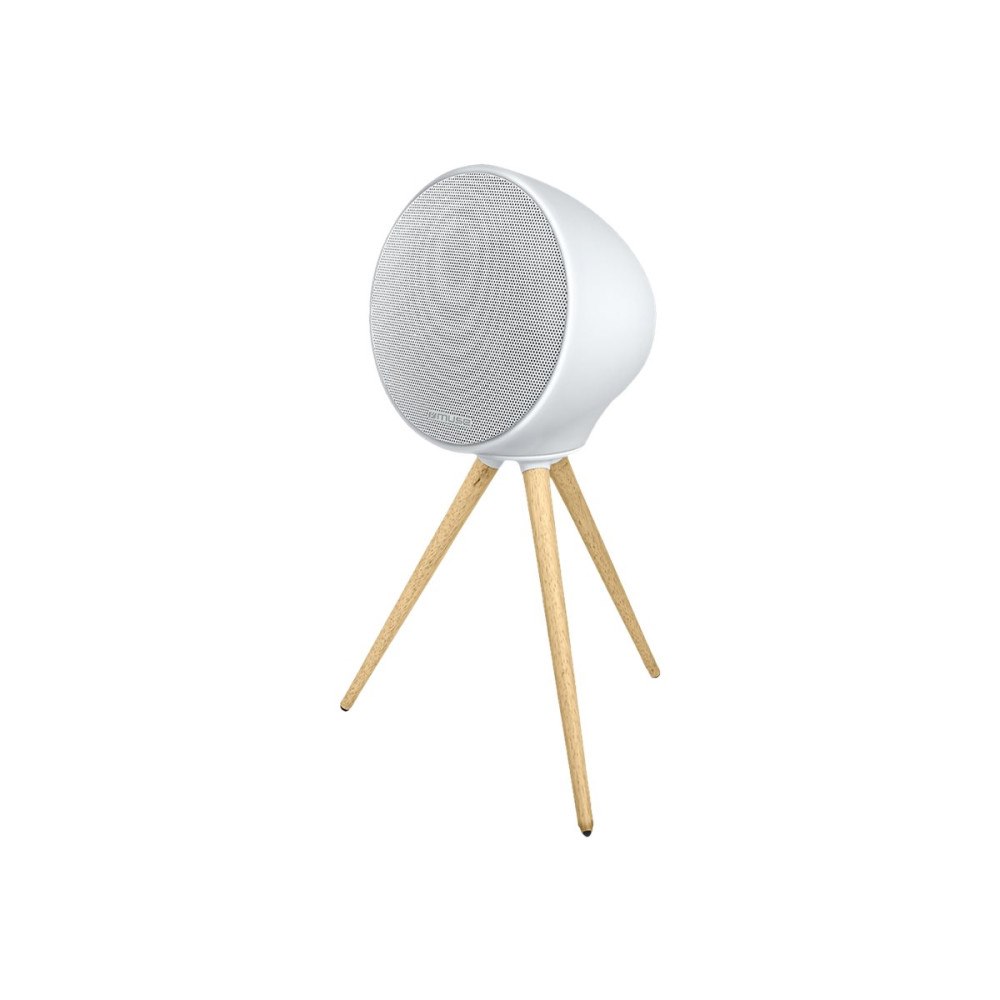 Muse Muse ML-655 BT - högtalare - för bärbar användning - trådlös