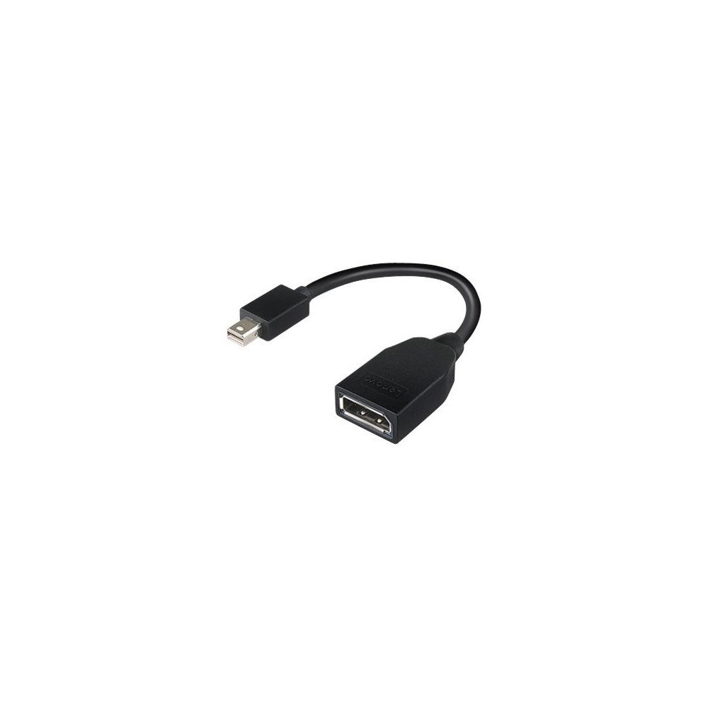 Lenovo Lenovo DisplayPort-adapter - 17.6 cm