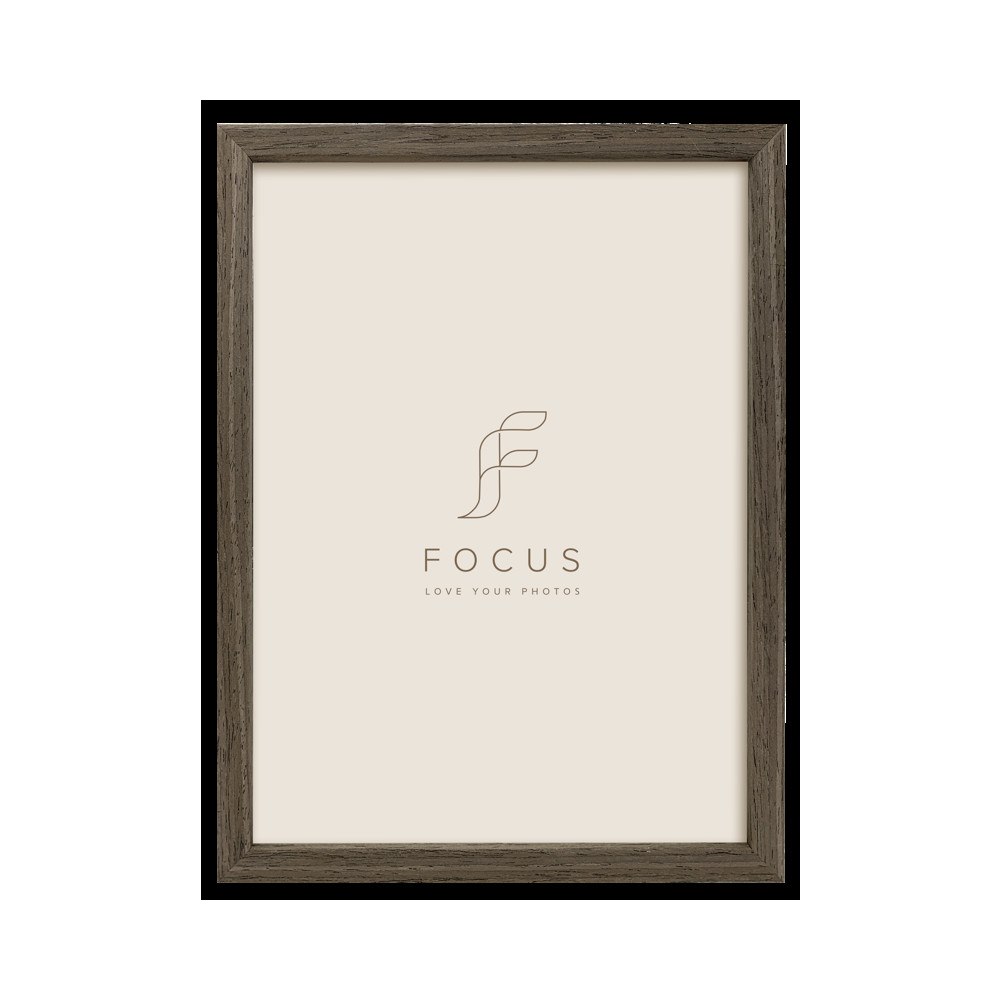 FOCUS Focus Willow Walnut 30X45