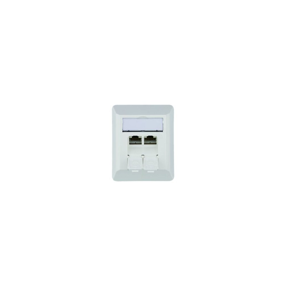 Telegärtner Karl Telegärtner AMJ45 8/8 K AP Cat.6A - network socket-outlet - 2 nätverksuttag - alpine white