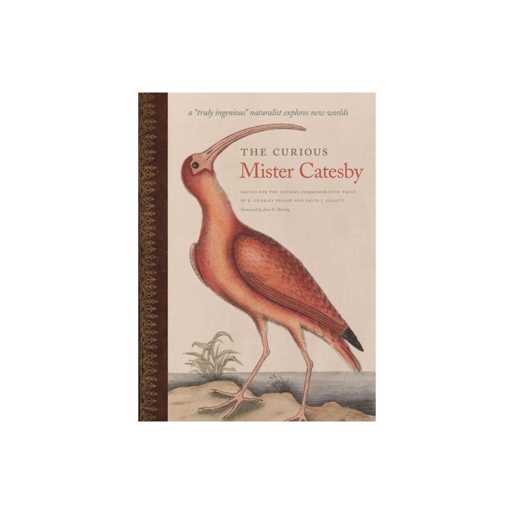 University of Georgia Press The Curious Mister Catesby (inbunden, eng)