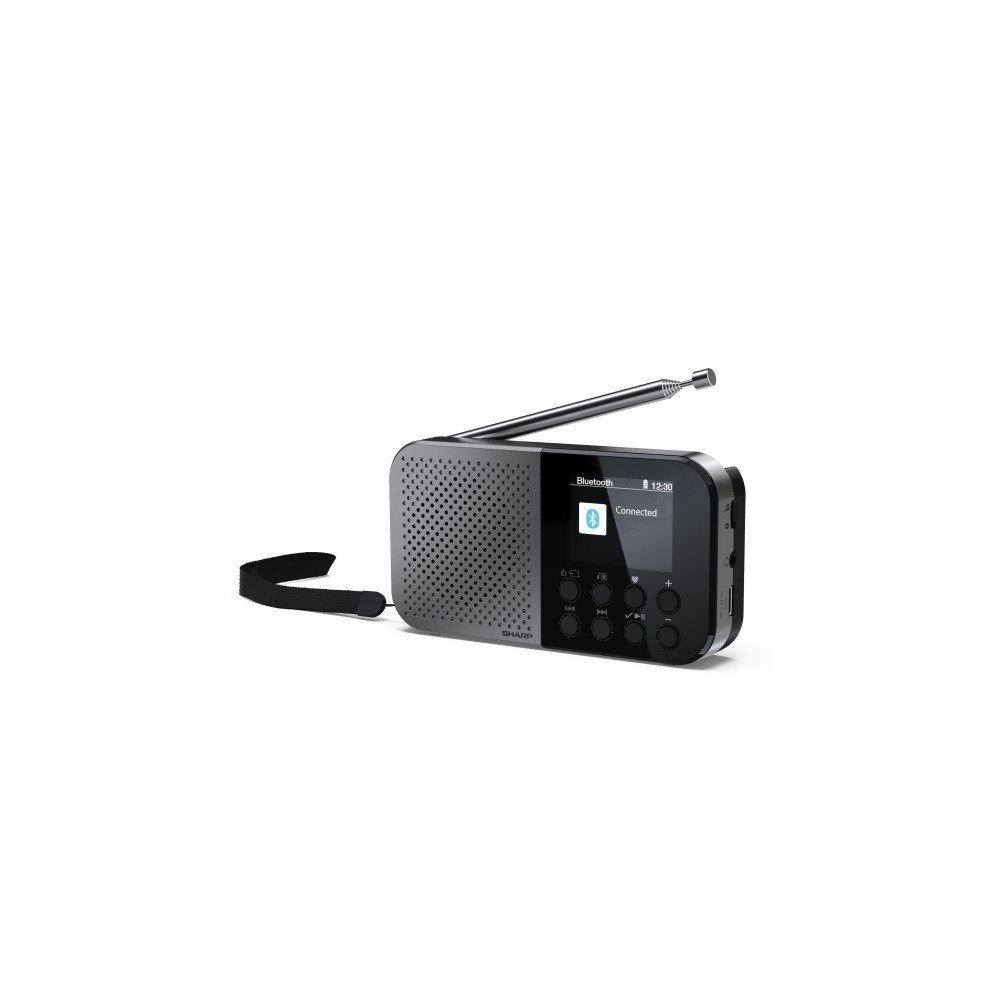 Sharp Sharp DR-P520, Personal, Digital, DAB, DAB+, FM, AAC, 5,08 (Öppnad)