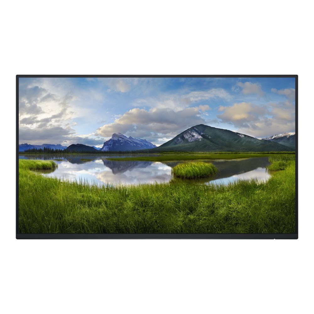 DELL Dell P2425H - utan ställ - LED-skärm - Full HD (1080p) - 24"