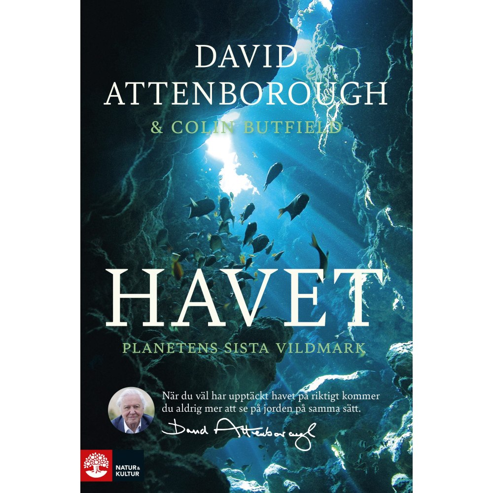 David Attenborough Havet : planetens sista vildmark (inbunden)