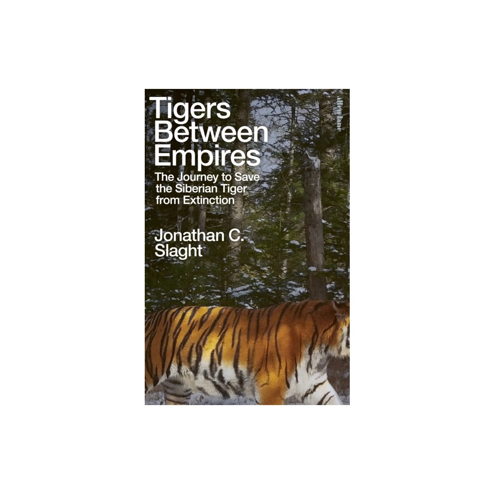 Penguin books ltd Tigers Between Empires (inbunden, eng)
