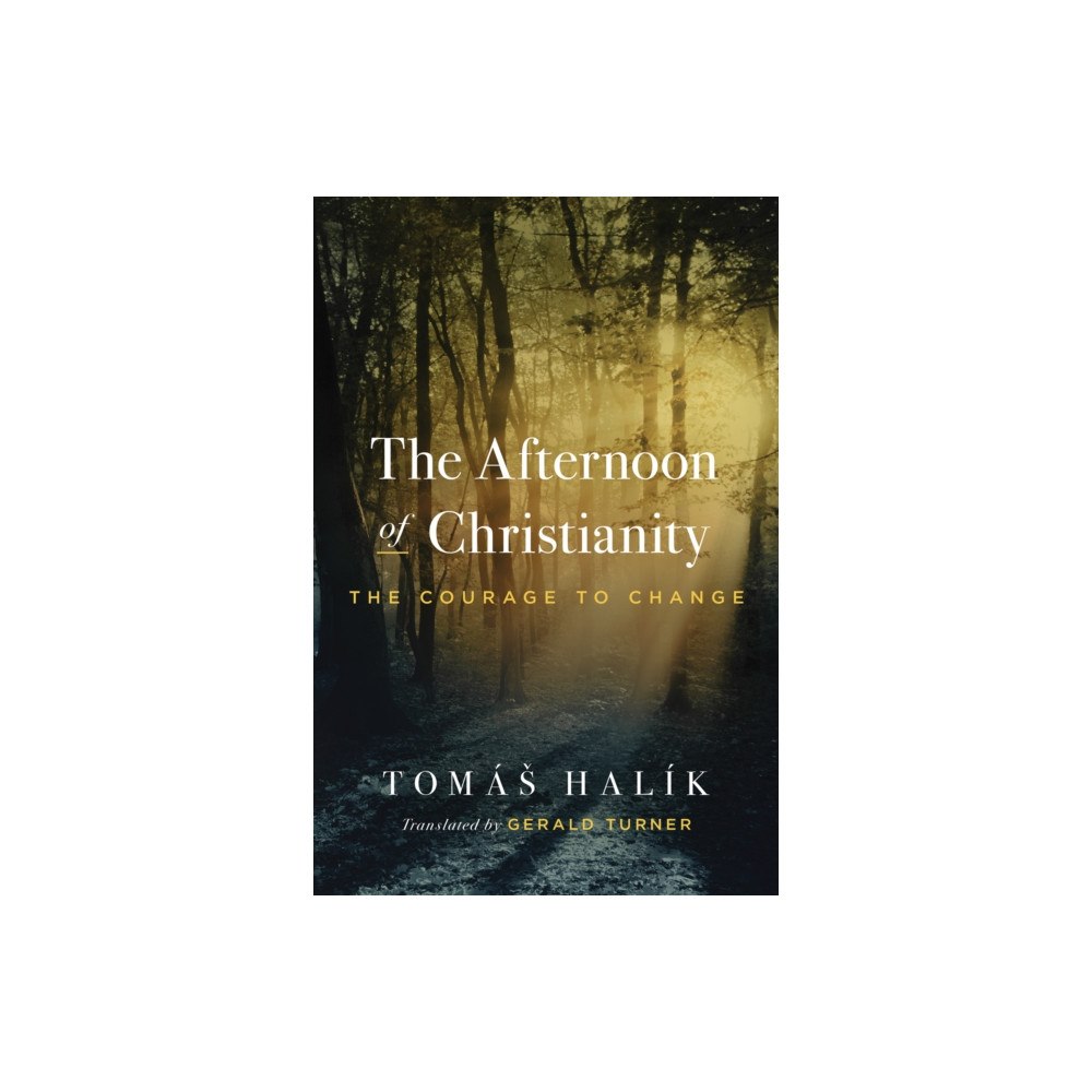 University of notre dame press The Afternoon of Christianity (häftad, eng)