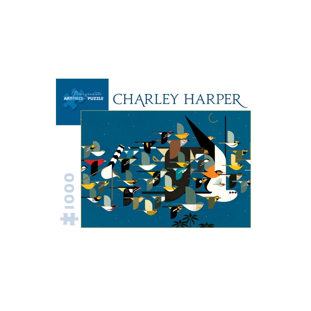 Pomegranate Europe MYSTERY OF THE MISSING MIGRANTS (häftad, eng)