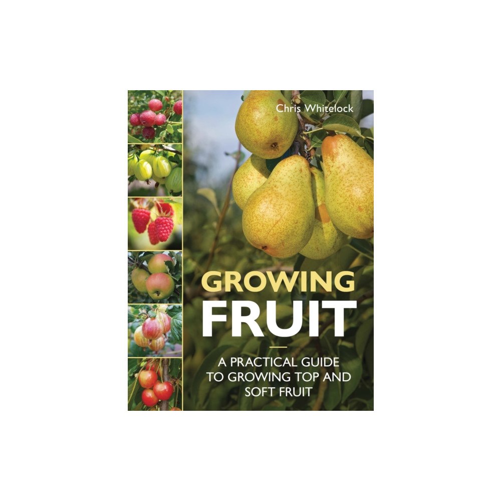 The Crowood Press Ltd Growing Fruit (häftad, eng)
