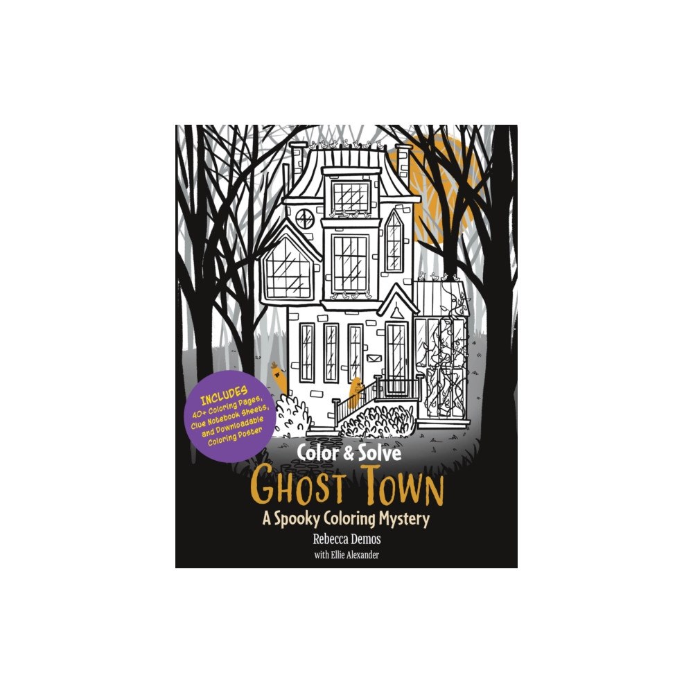 Quarto Publishing Group USA Inc Color & Sleuth: Ghost Town (häftad, eng)