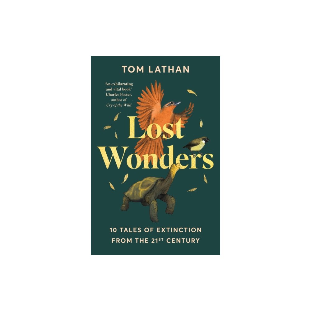 Pan Macmillan Lost Wonders (häftad, eng)